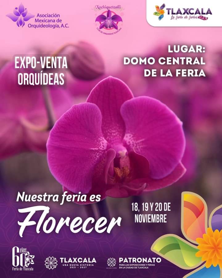 Expo-venta de orquídeas