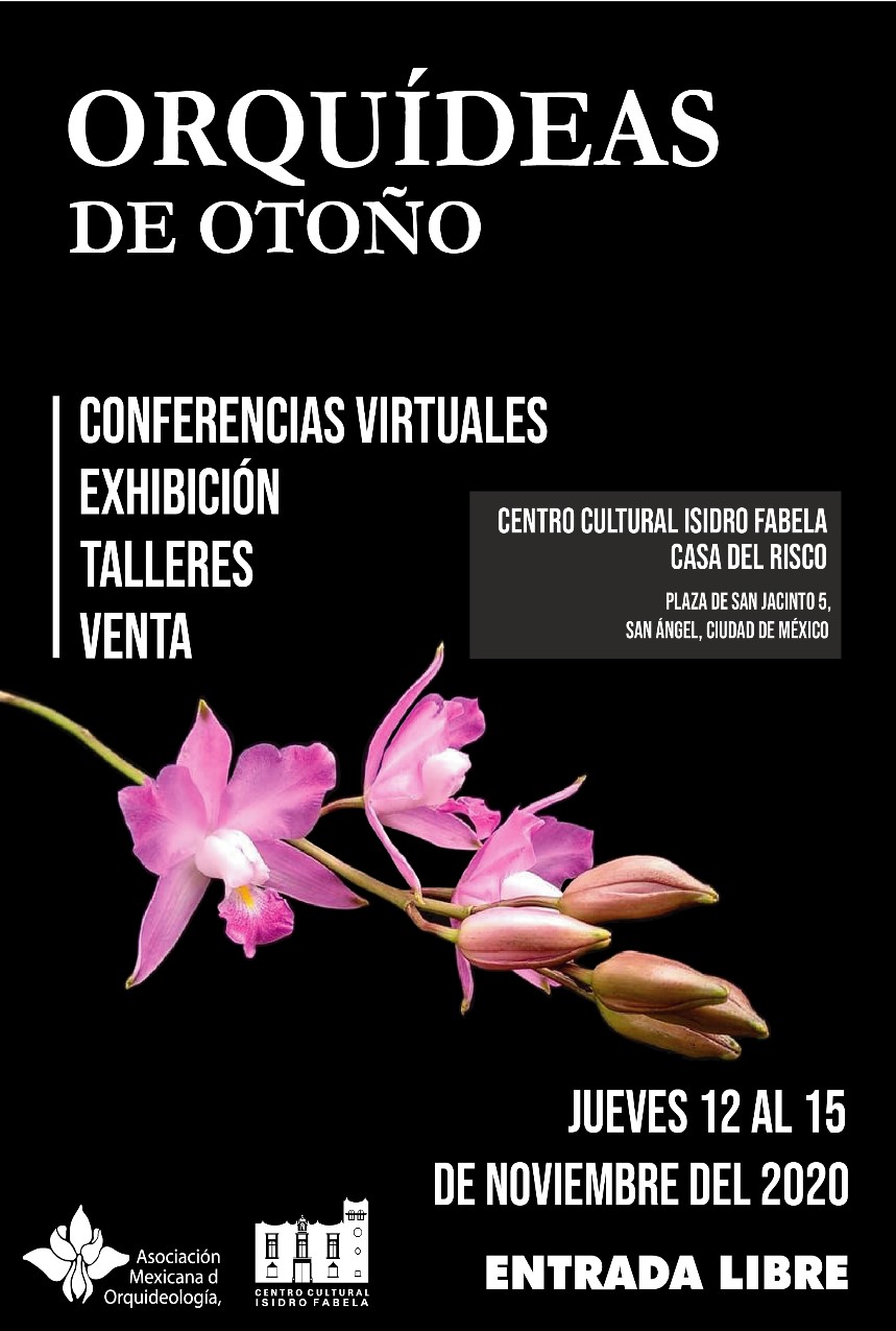 Cartel Cartel
