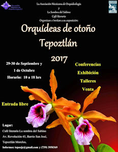 Cartel Tepoz Cartel Tepoz
